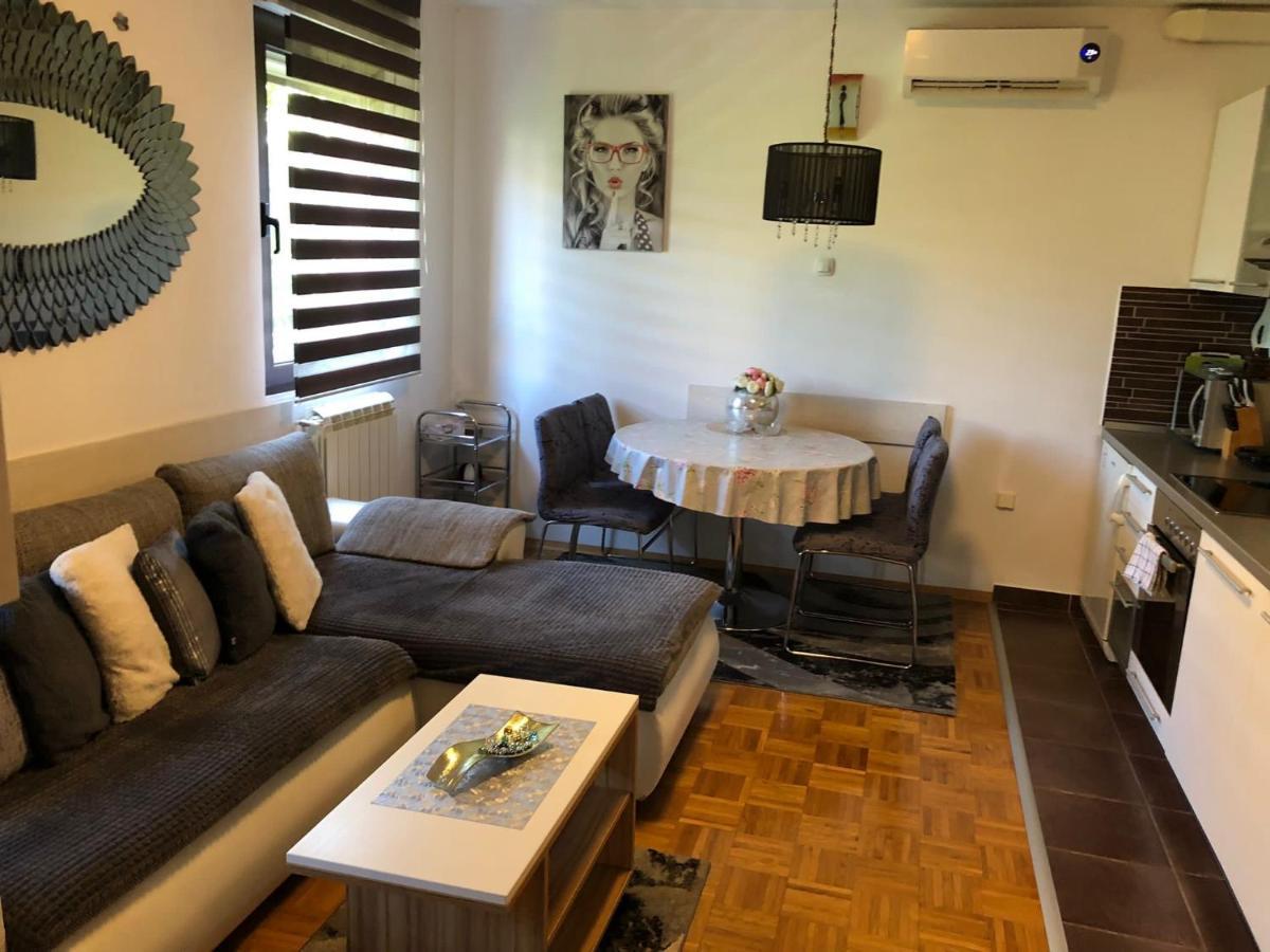 Apartment Sweet Dreams-Close To Zoo,Dinamo Stadium And The City Center Zagreb Extérieur photo